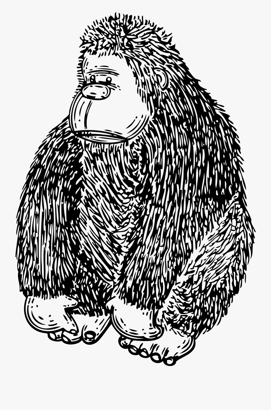 Gorilla Clipart, Transparent Clipart