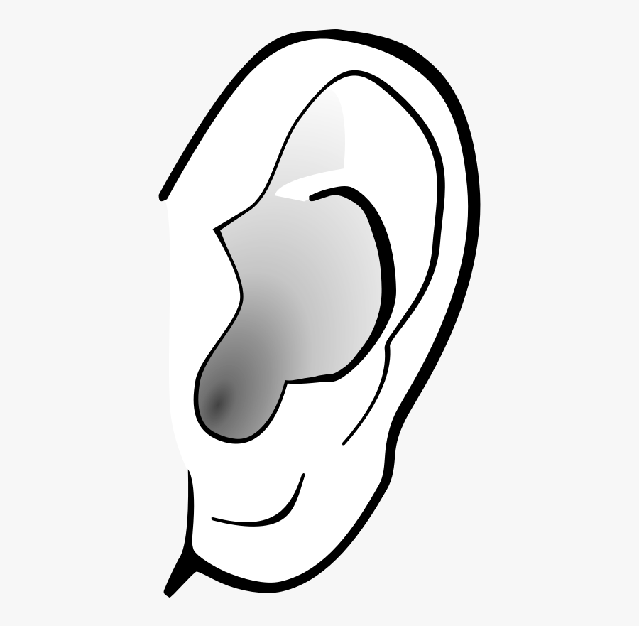 Listener Clipart Ear Clip Art Listening Ear Clipart - Ears Clipart Black And White, Transparent Clipart
