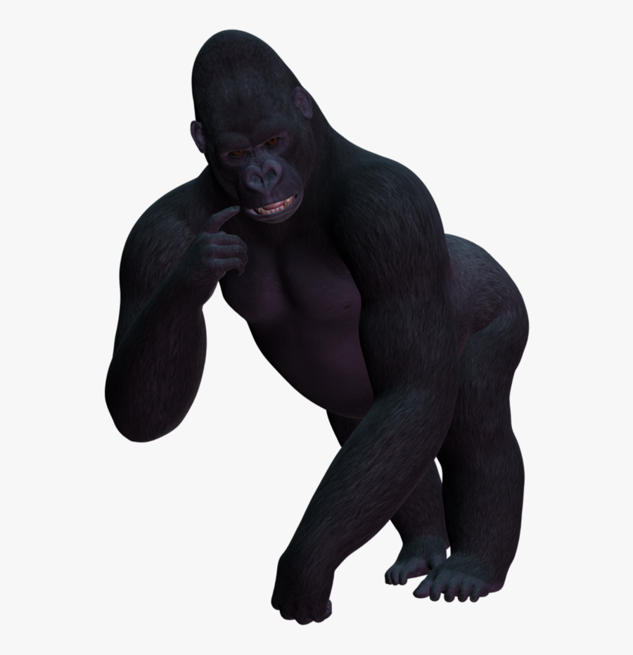 Transparent Gorilla Clipart Png - Transparent Background Gorilla Clipart, Transparent Clipart