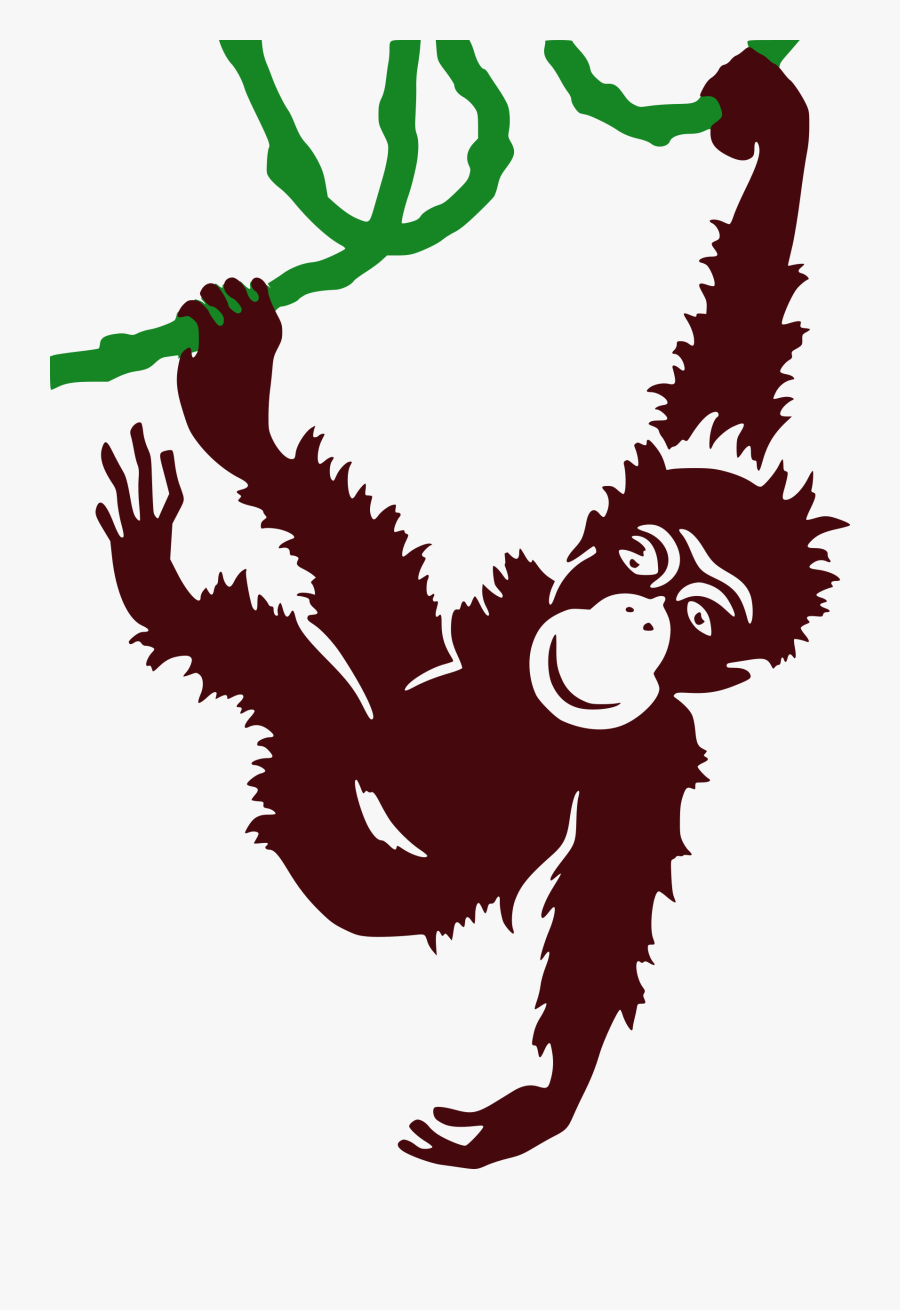 Hanging Sloth Public Domain Vectors - San Diego Zoo Poster, Transparent Clipart
