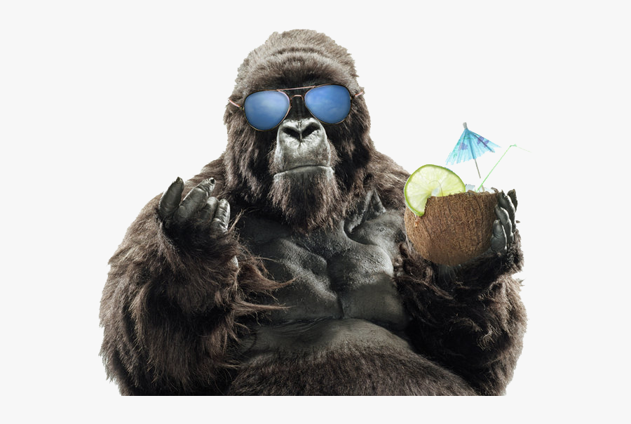 Summer Sunglasses Primate Vacation Gorilla Western - Fondos De Pantalla Hd Gorilas, Transparent Clipart