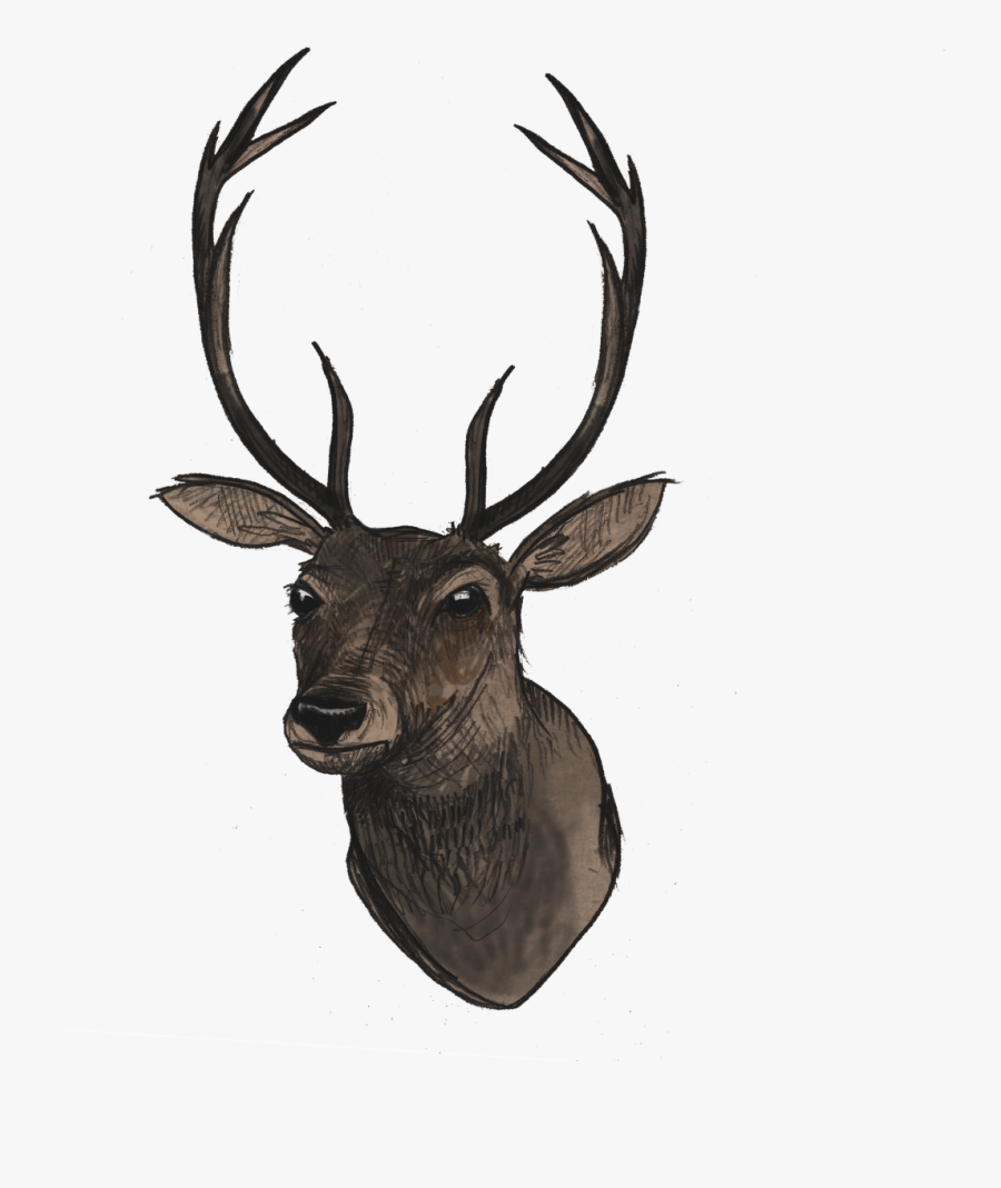 Transparent Deer Head Png, Transparent Clipart