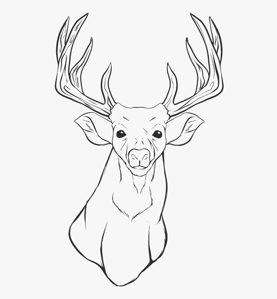 Deer Head Coloring Pages - Simple Deer Tattoo Designs, Transparent Clipart