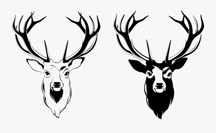 Transparent Deer Clip Art - Head Deer Vector Png, Transparent Clipart