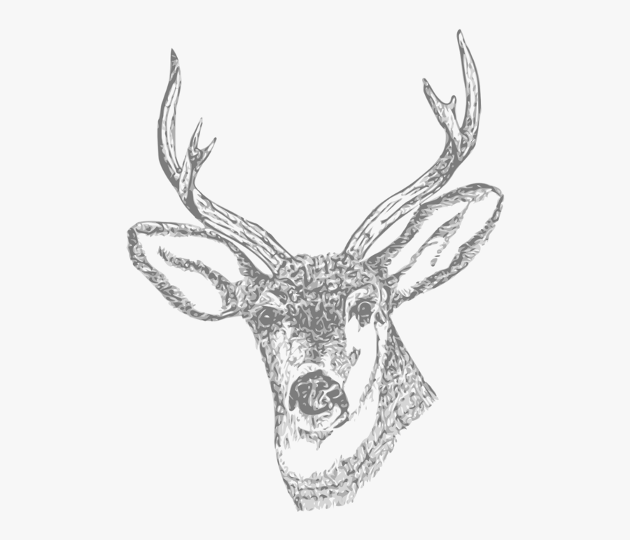 Stag Skull Tattoo Design, Transparent Clipart