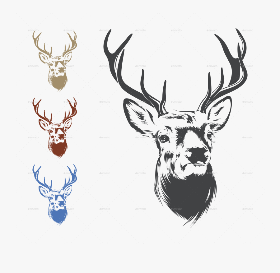 Deer Head Drawing Png, Transparent Clipart