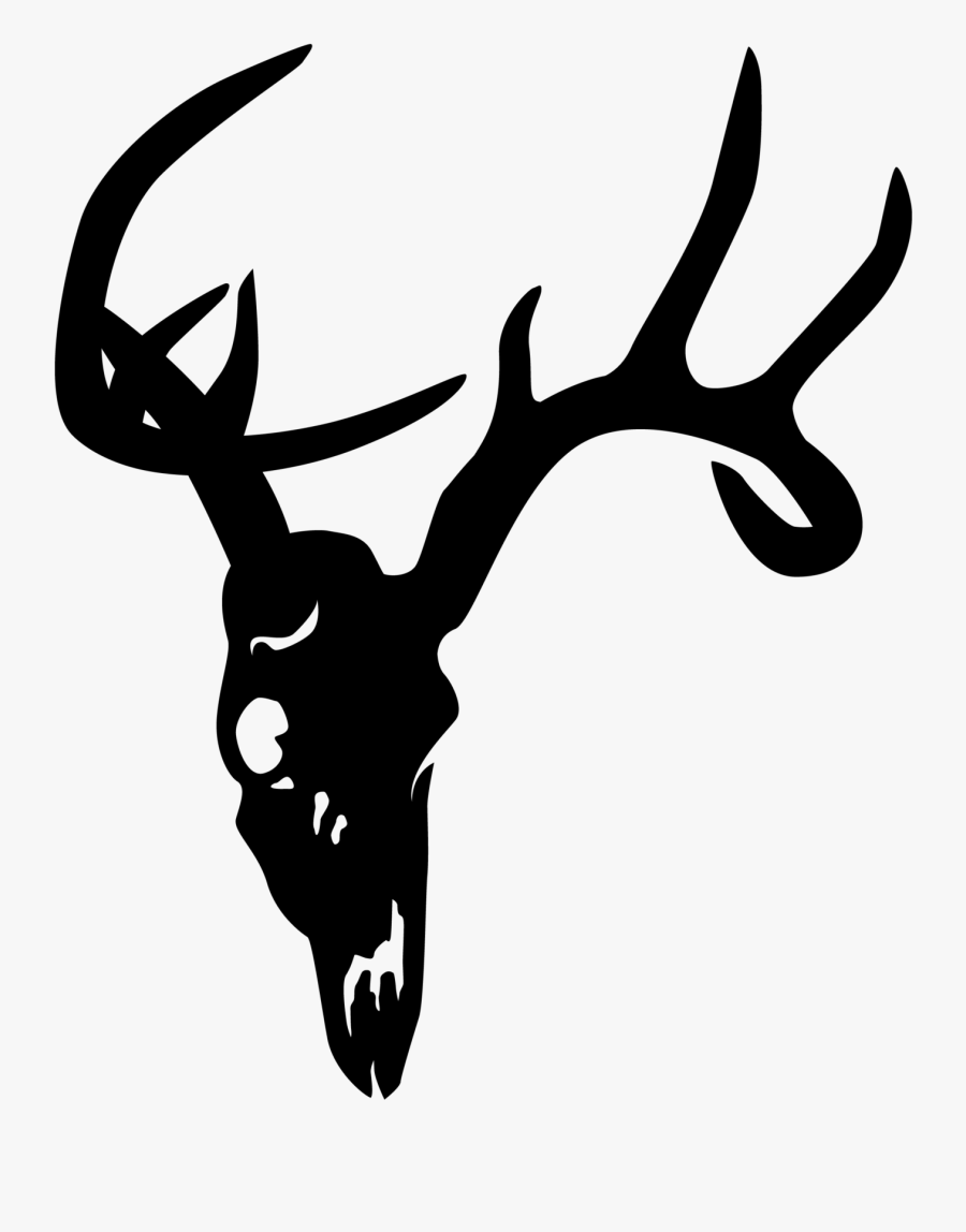 Deer Skull Png - Whitetail Buck Skull Decal, Transparent Clipart