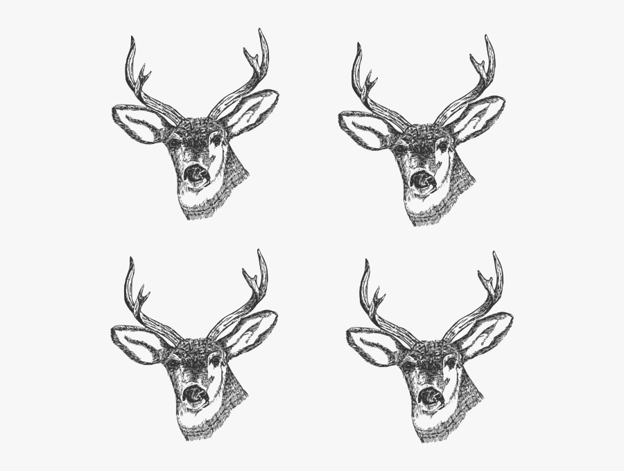 4 Deer Heads Clip Art At Clker - Ресторан Королевская Охота, Transparent Clipart