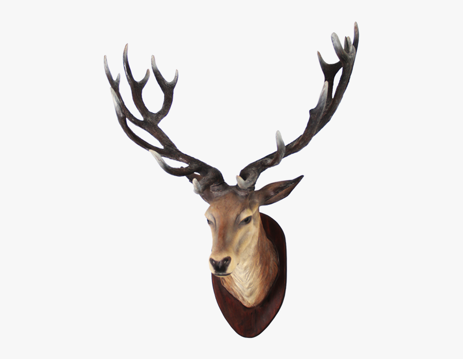 Clipart Png Deer Best - Deer Head Png, Transparent Clipart