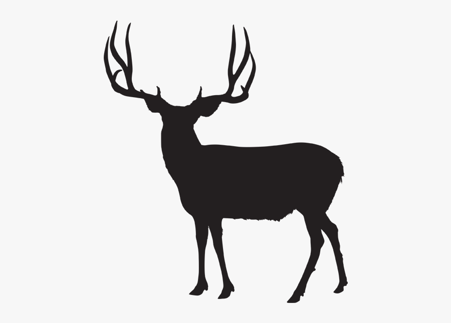 Silhouette At Getdrawings Com - Mule Deer Antler Silhouette, Transparent Clipart