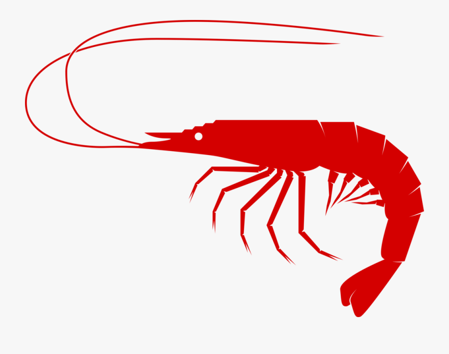 Red Drum Fish Clipart - Shrimp Png, Transparent Clipart