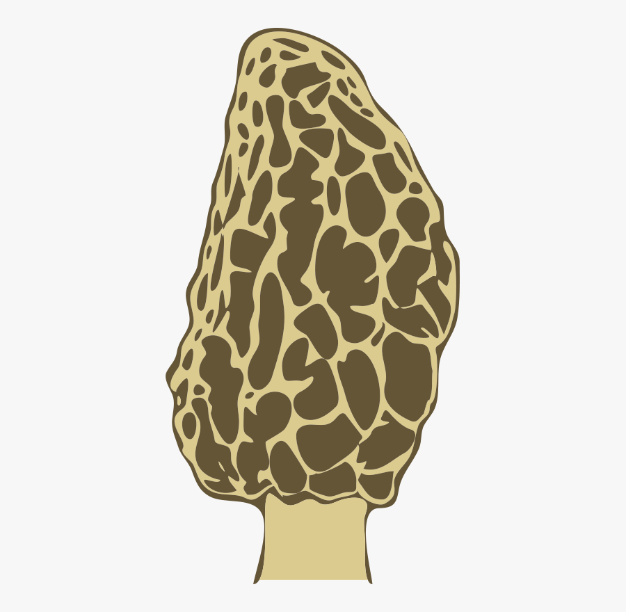 Morel Mushrooms Clip Art, Transparent Clipart