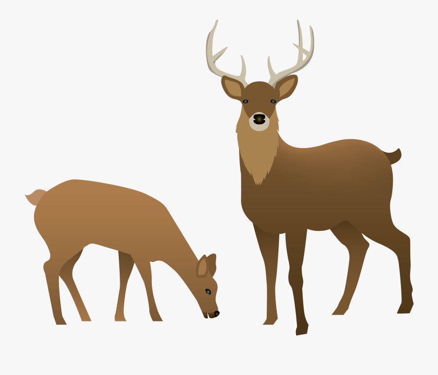 Antler Clipart Stag, Transparent Clipart