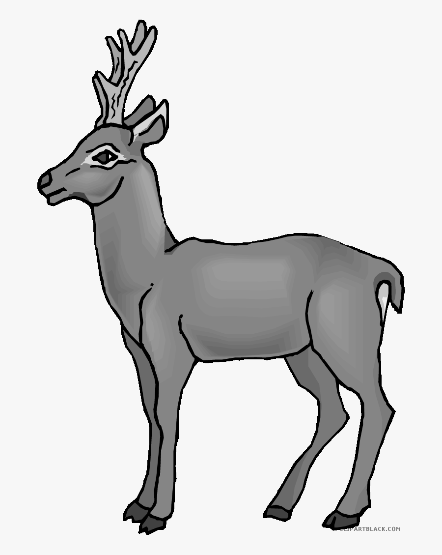 Buck Clipart - Heterotroph Gif, Transparent Clipart
