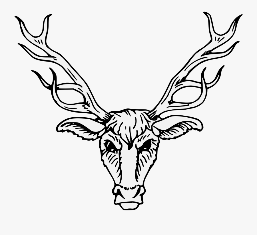 Red Deer Clip Art Heraldry Portable Network Graphics - Heraldic Stag Head, Transparent Clipart