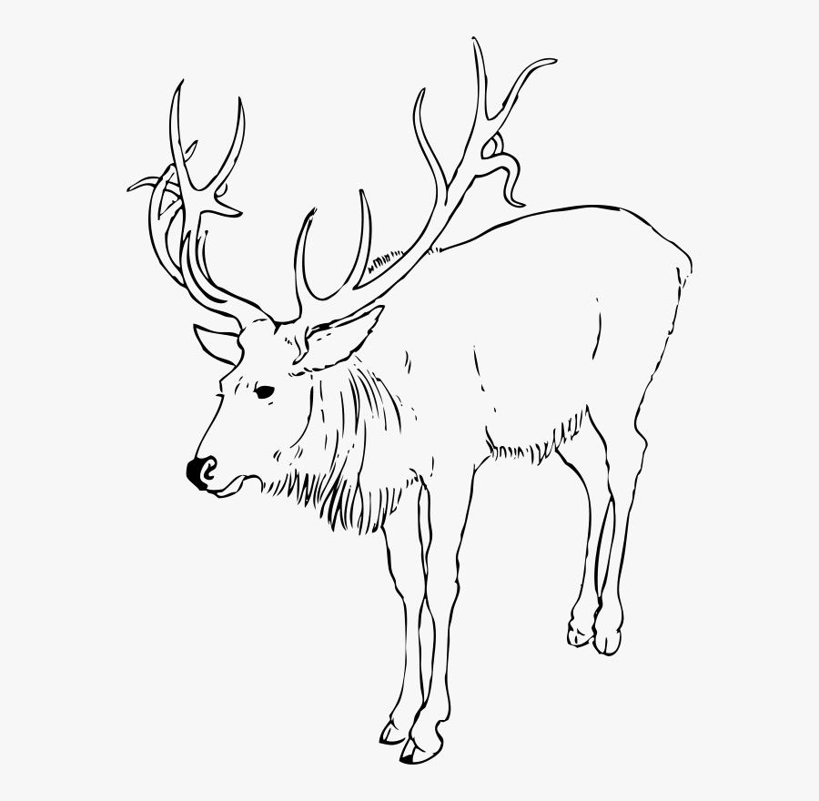 Deer Clip Art Free Animal Images Animal Clipart Org - Caribou Animal Black And White, Transparent Clipart
