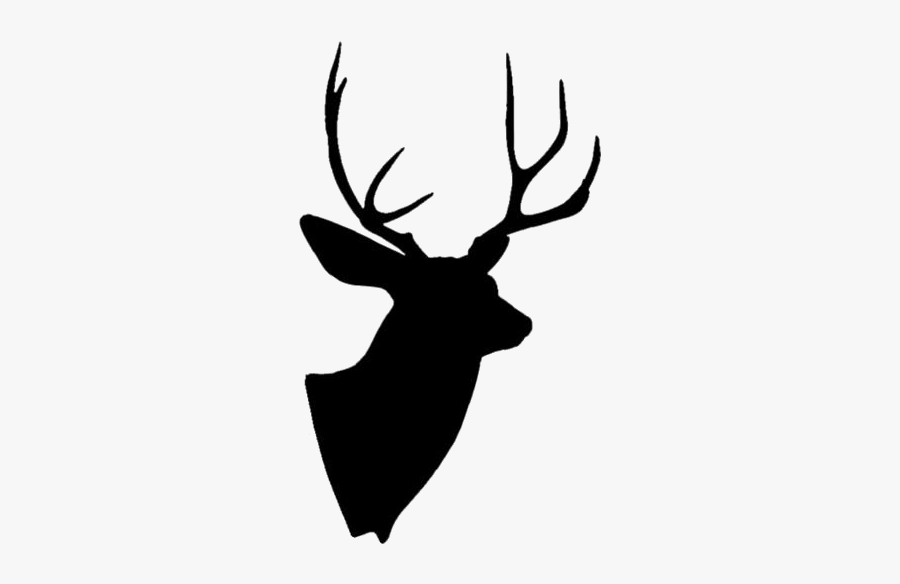 Deer Head With Horn Png Transparent Images - Antler, Transparent Clipart