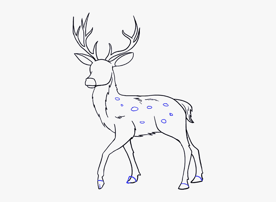Clip Art Easy To Draw Deer Head - Drawing, Transparent Clipart