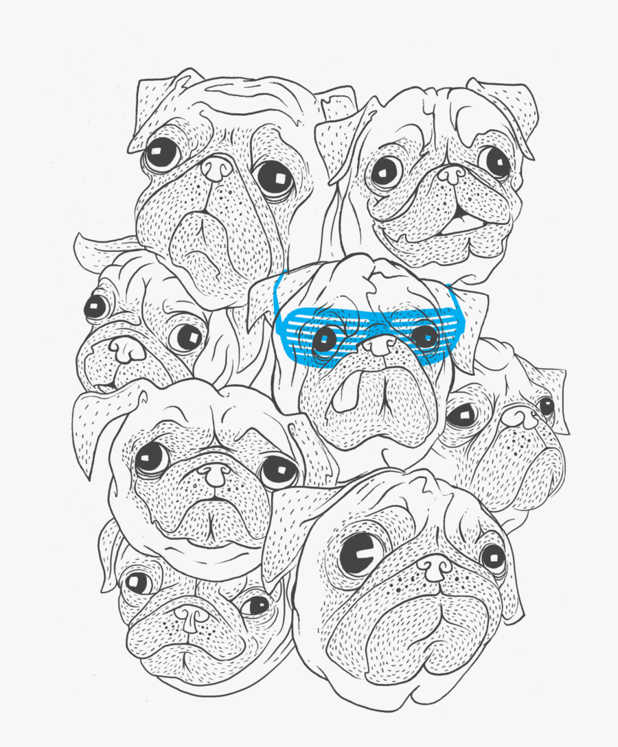 Pug, Transparent Clipart