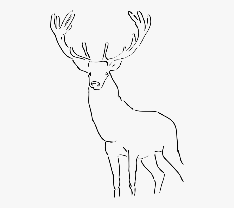 Deer Stag Antlers Wild Animal Mammal Head - Stag Black And White, Transparent Clipart