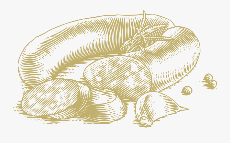 Illustration, Transparent Clipart