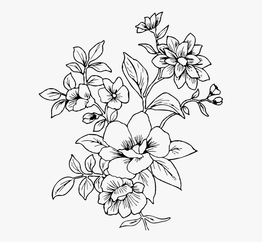 Line Art,plant,flora - Flower Line Drawing Png, Transparent Clipart