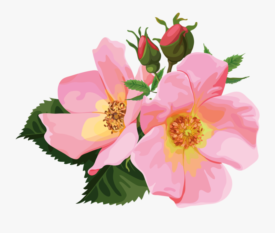 Rose Cliparts Transparent Floral - Transparent Flower Bouquet Clipart, Transparent Clipart