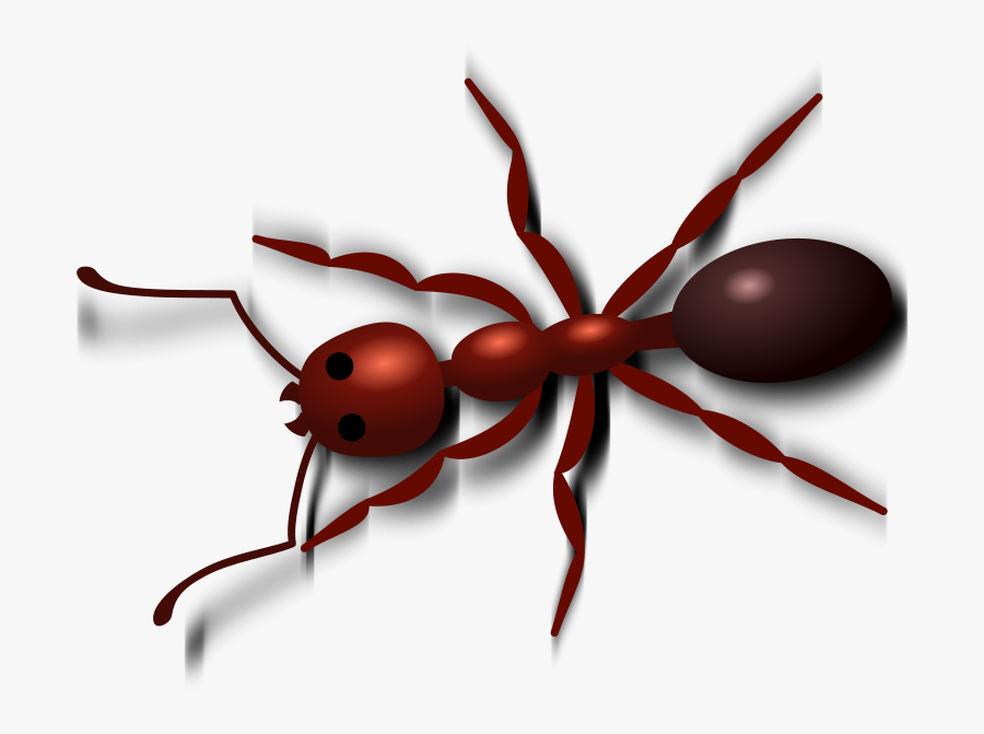 Picnic Clip Art Ants Free Clipart Images - Amazing Facts Of Ant, Transparent Clipart