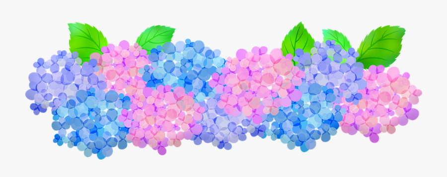 Hydrangeas Clip Art, Floral, Pink And Purple Hydrangeas - ภาพ พื้น หลัง ดอกไม้, Transparent Clipart