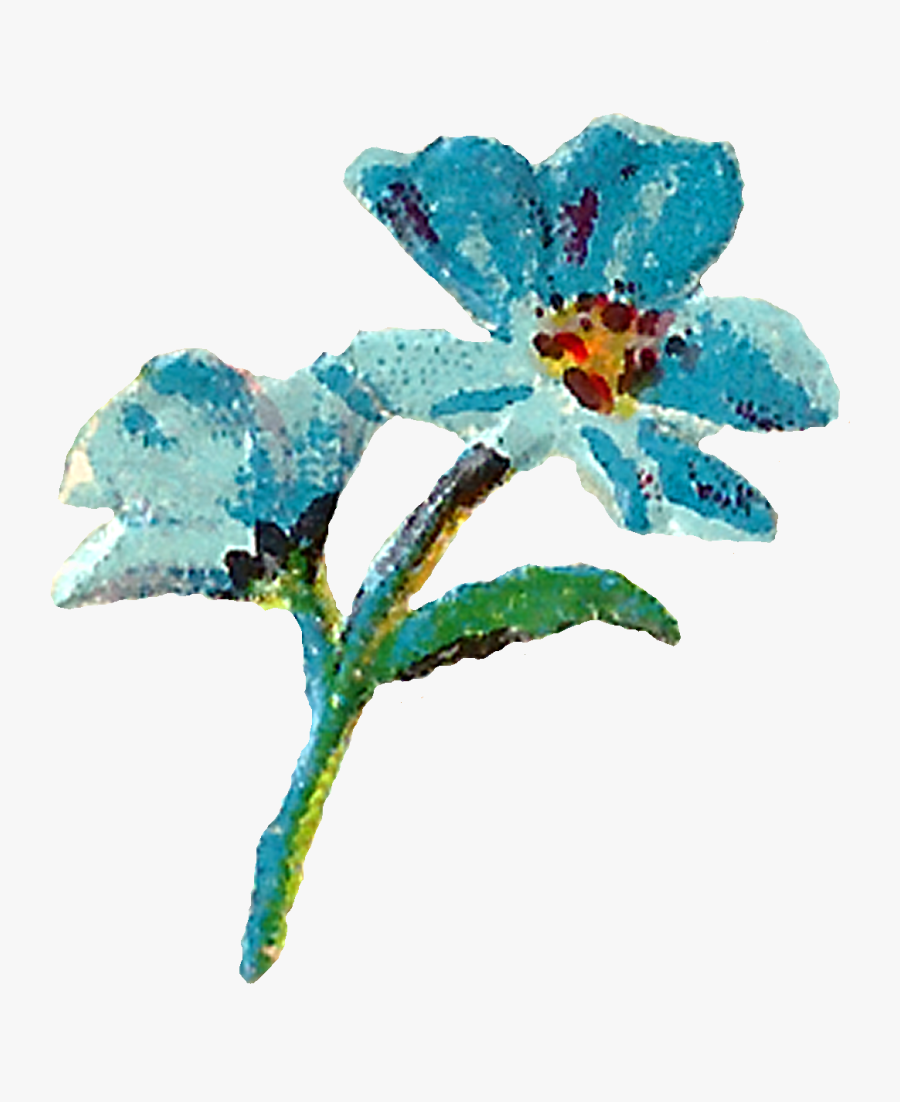 Pink Blue Watercolor Flowers, Transparent Clipart