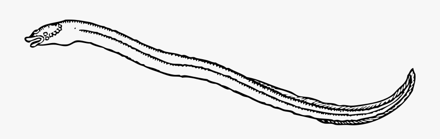 Simplistic Eel Coloring Page Eels Clipart Black And - Eel Clipart Black And White, Transparent Clipart