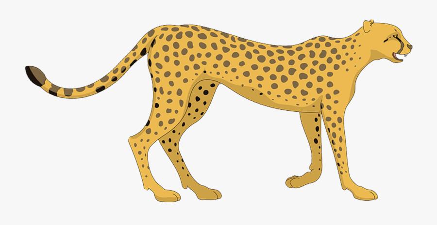Clip Art Leopard Clip Art Transprent - Cheetah Clipart, Transparent Clipart