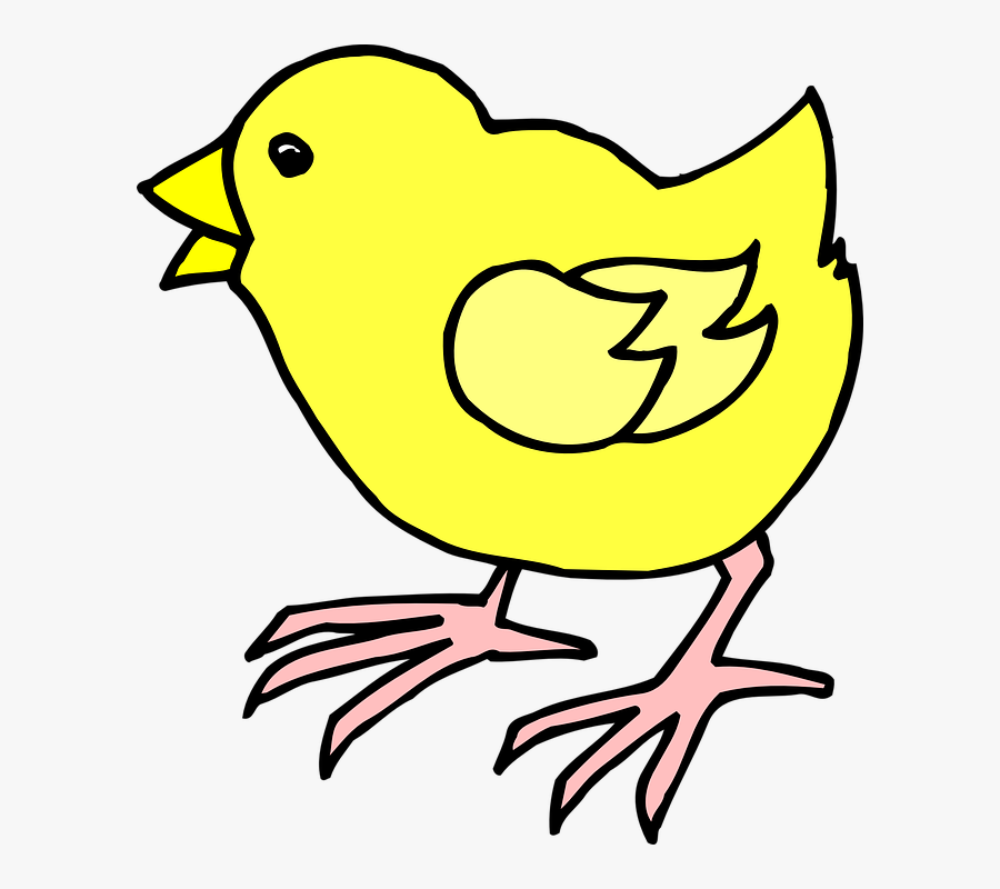Chick Clipart Baby Chick - Cartoon Picture Of A Chick, Transparent Clipart
