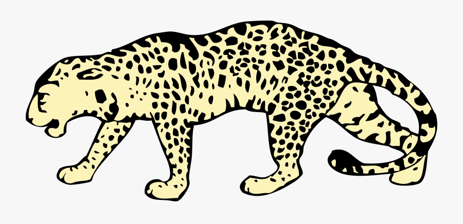 Cheetah,wildlife,puma - Leopard Png, Transparent Clipart