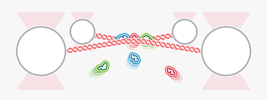 C Trap Q Trap - Circle, Transparent Clipart