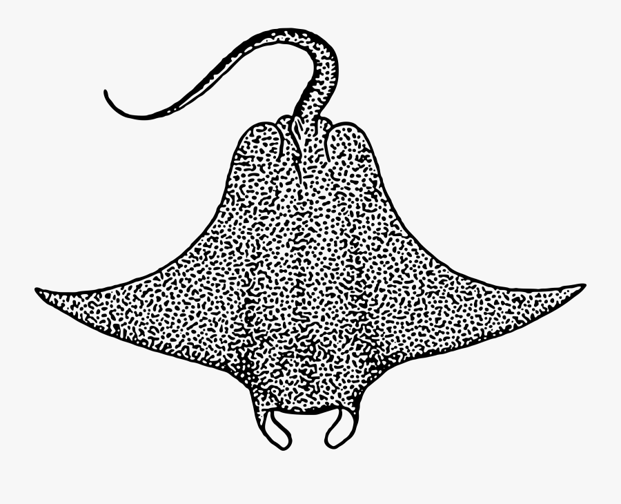 Devil Fish Clip Arts - Sting Ray Clip Art Black And White, Transparent Clipart