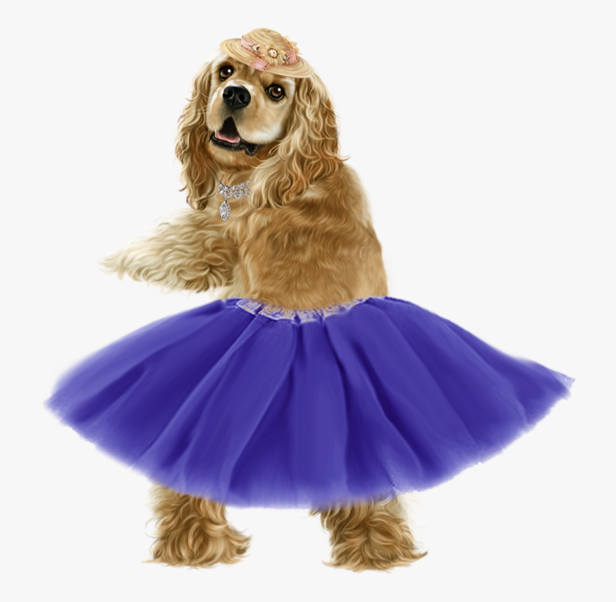 Golden American Cocker Spaniel, Transparent Clipart
