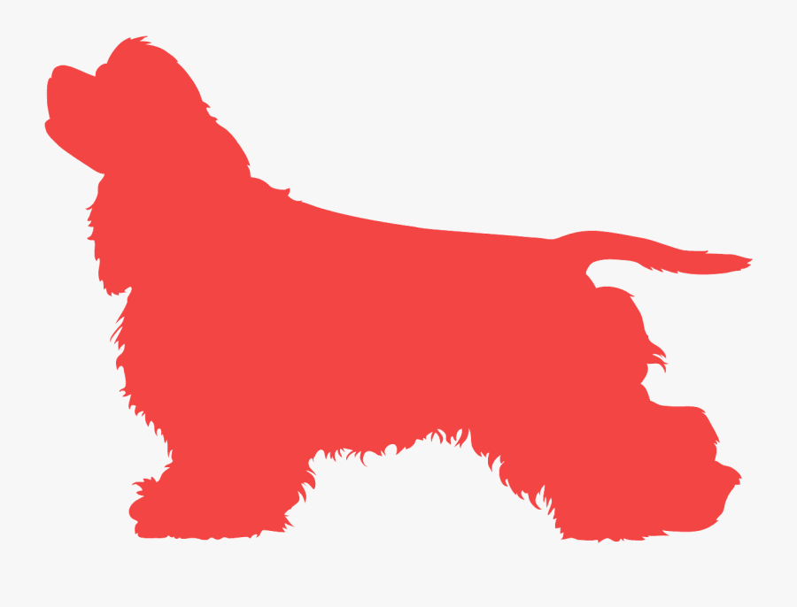 Chicken, Transparent Clipart