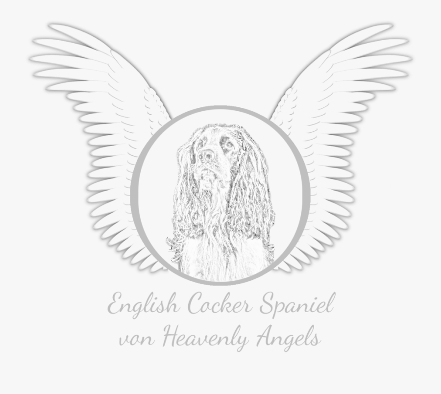 Clipart Black And White Download English Cocker Spaniel - Sketch, Transparent Clipart