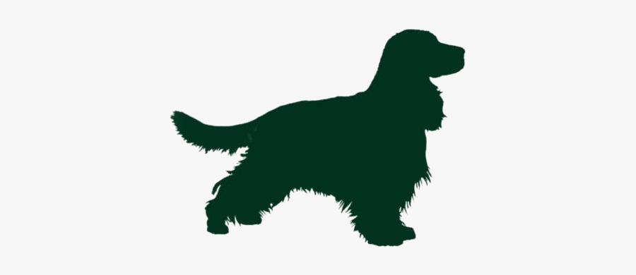 Transparent English Cocker Spaniel Art - English Cocker Spaniel Silhouette, Transparent Clipart