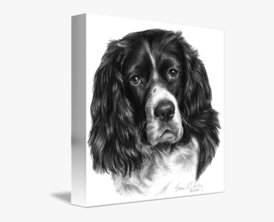 Clip Art Black And White Cocker Spaniel - Draw A Cocker Spaniel Dog, Transparent Clipart