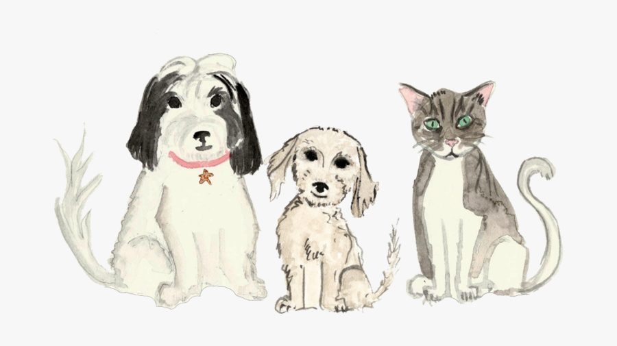 Cocker Spaniel, Transparent Clipart