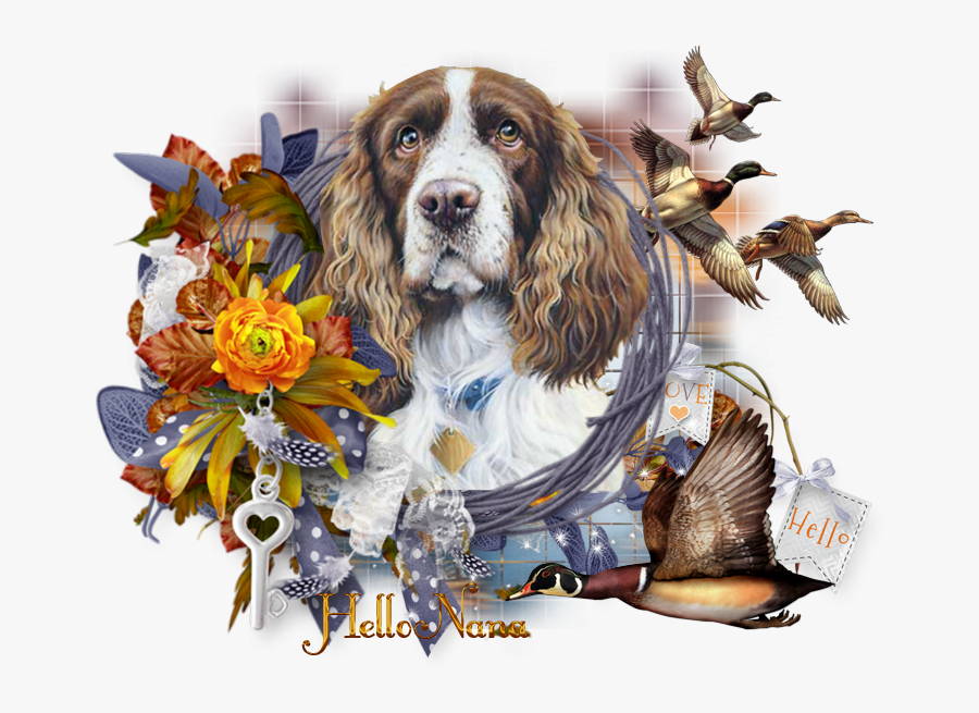 Ie W Xjsrekymy Tjg - English Springer Spaniel Painting, Transparent Clipart