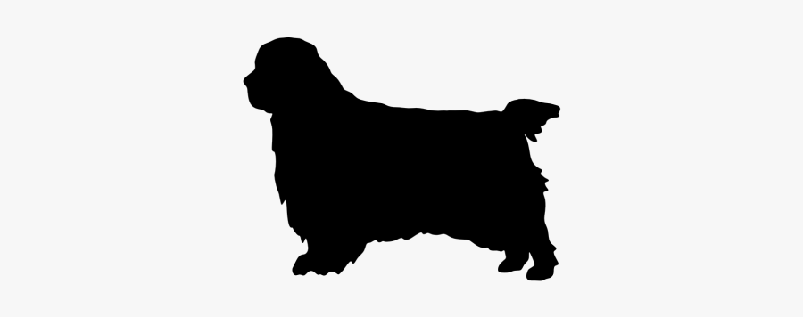 Dog Breed Clumber Spaniel English Cocker Spaniel American - Clumber Spaniel Silhouette, Transparent Clipart