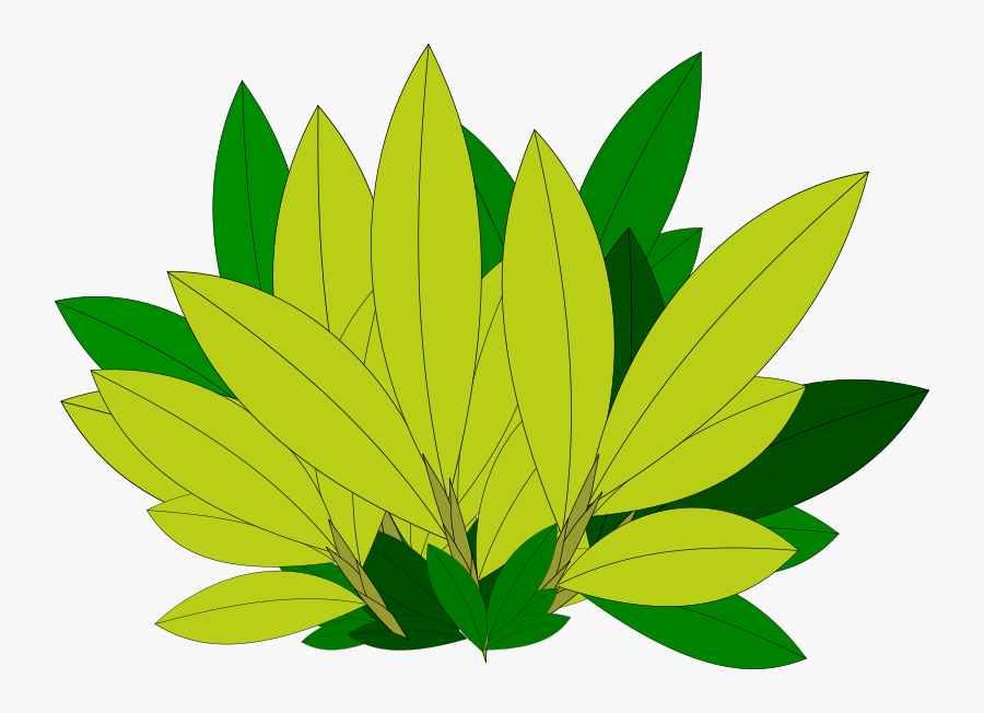 Tree-07 - Plants And Trees Clipart, Transparent Clipart