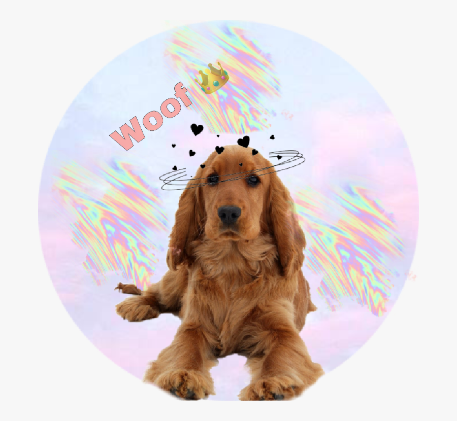 #leaves, Transparent Clipart