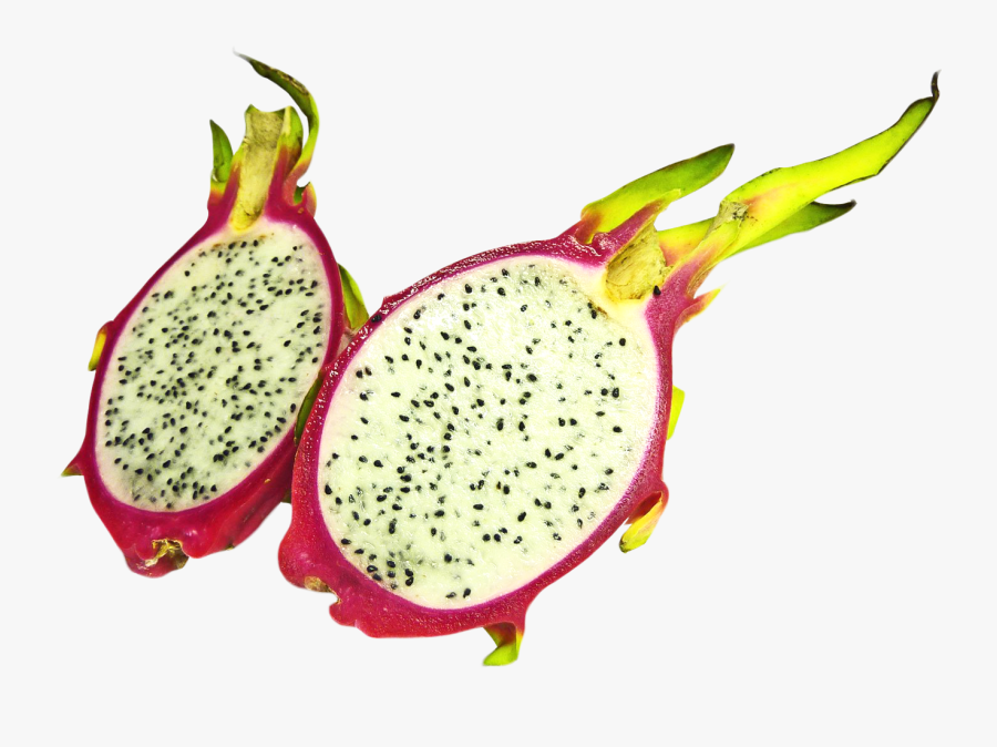 Costa Rican Pitahaya - Pitaya, Transparent Clipart