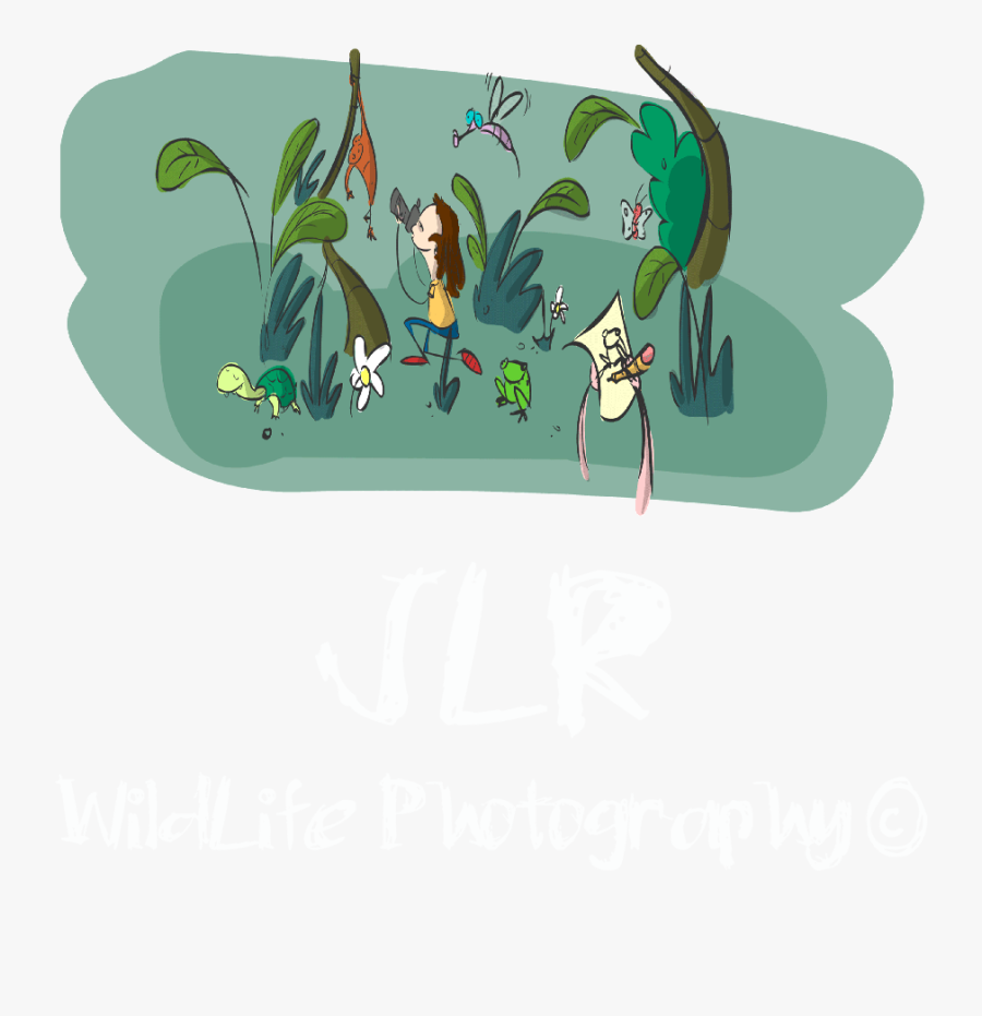 Invictus Photographer - Cartoon, Transparent Clipart