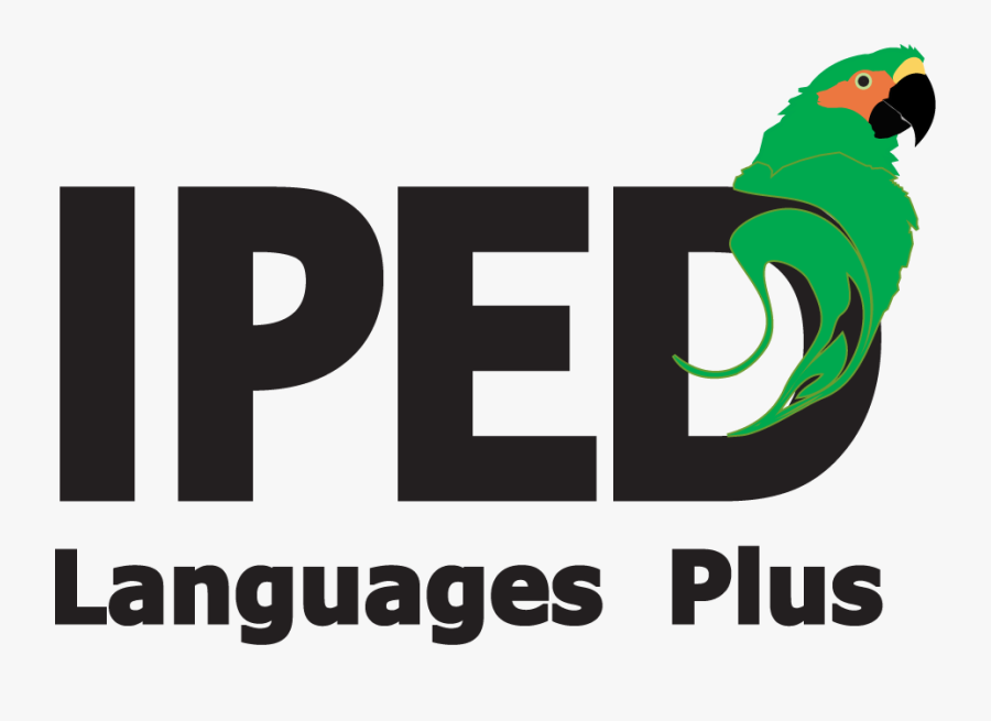 Graphic Design, Transparent Clipart