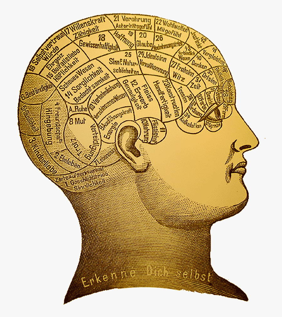 Wikipedia, The Free Encyclopedia - Psychologia Humanistyczna, Transparent Clipart